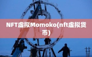 NFT虚拟Momoko(nft虚拟货币)