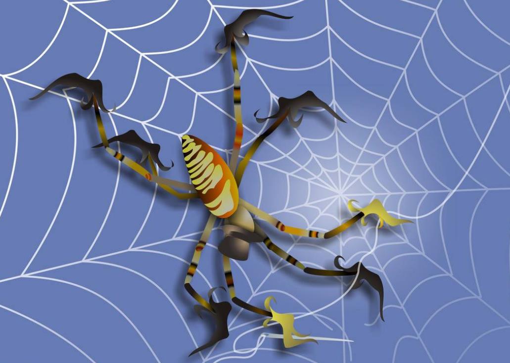 看到蜘蛛代表什么寓意（看到蜘蛛代表什么寓意,把它捏死了）-第1张图片-昕阳网