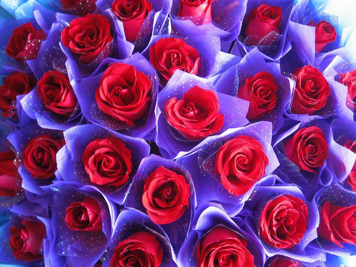玫瑰花11朵duo代表什么意义、十九朵玫瑰花代表什么意思