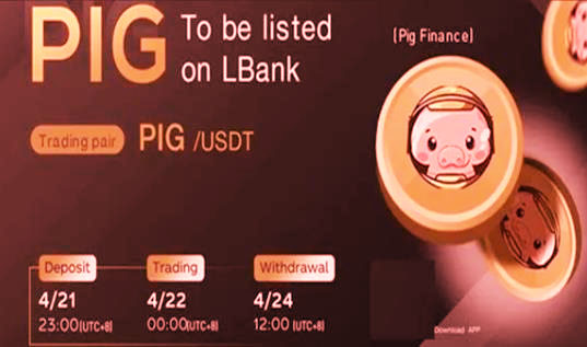 pig币安卓最新版下载地址 哪些app像pig币钱包可提现-第1张图片-昕阳网