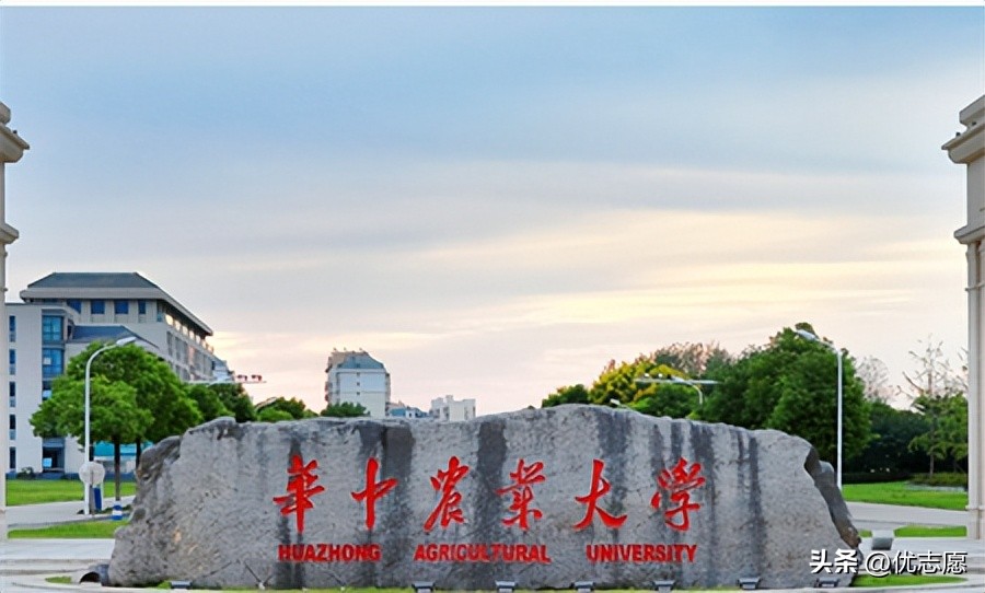 武汉的211大学有哪几ji所（考研择校）-第19张图片-悠嘻资讯网