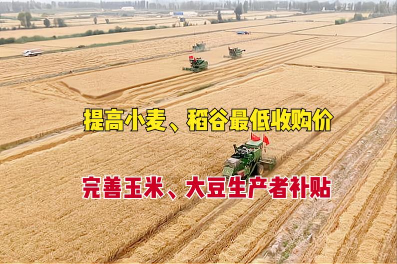 小麦补贴多少钱一亩2022（河北小麦补贴多少钱一亩2022）