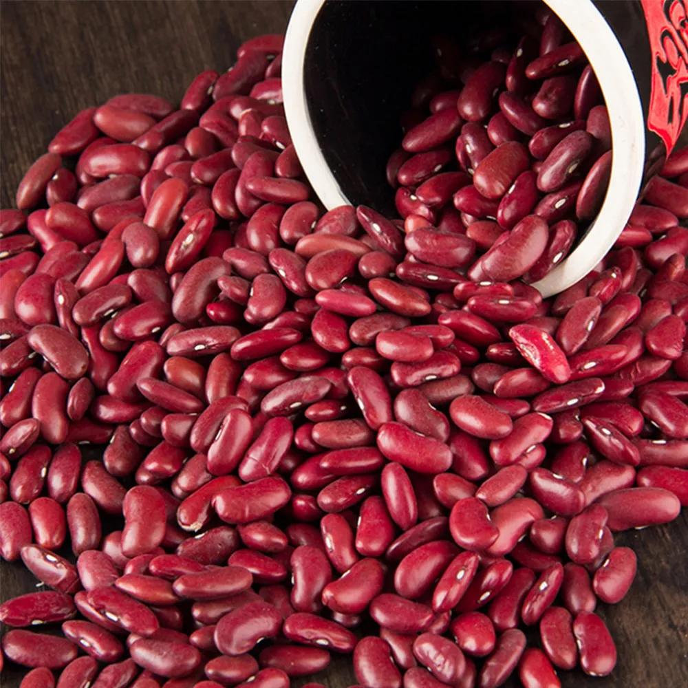 红芸豆的营养价值与食用功效；红芸豆的营养价值与食用功效红芸豆的做法