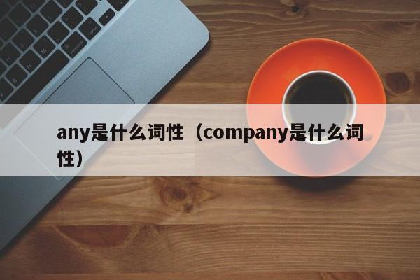 any是什么词性(xing)（company是什么词(ci)性）-悠嘻资讯网