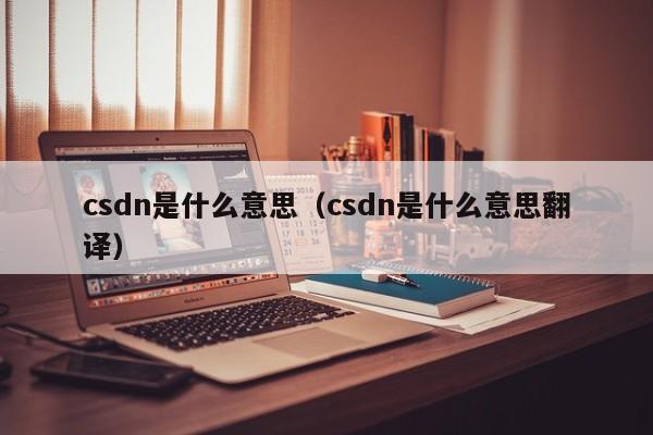 csdn是什么意思_csdn是什么意思翻译