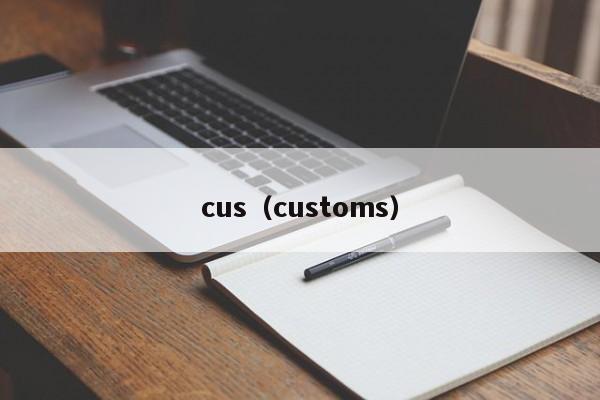 cus（customs）-悠嘻资讯网