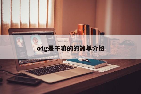 otg是(shi)干嘛的的简单介绍-悠嘻(xi)资讯网