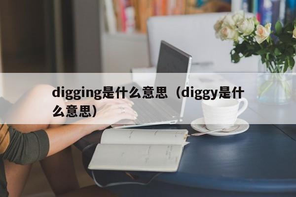 digging是(shi)什么意思（diggy是什么意思）