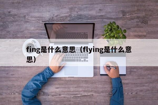 fing是什么意yi思（flying是什么意思）