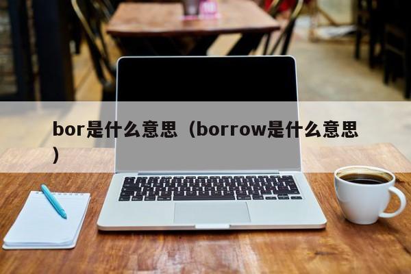 bor是什么(me)意思（borrow是什么意思）