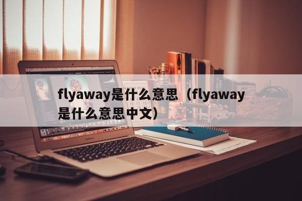 flyaway是什么(me)意思（flyaway是什么意思中文）